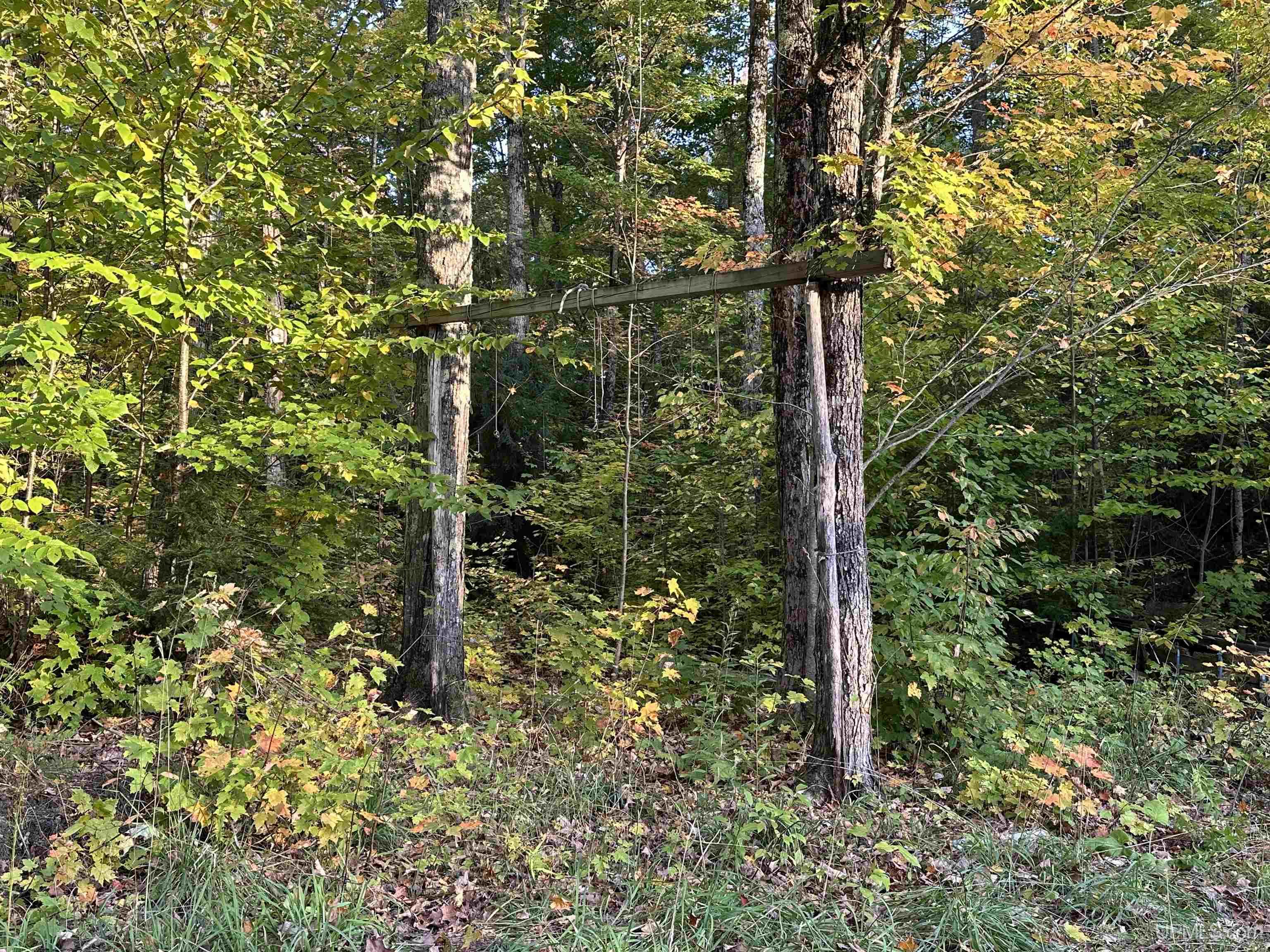 Off Forest Rd 250 Road Bergland, MI 49910 - Photo 16 of 17
