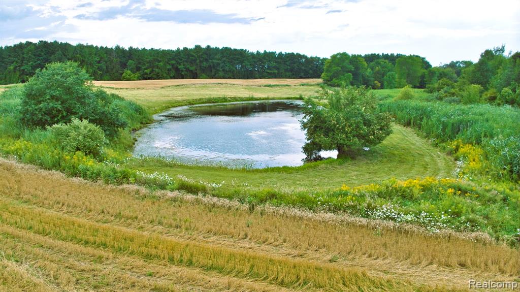 Vl Custer Road Carsonville, MI 48419 - Photo 13 of 16