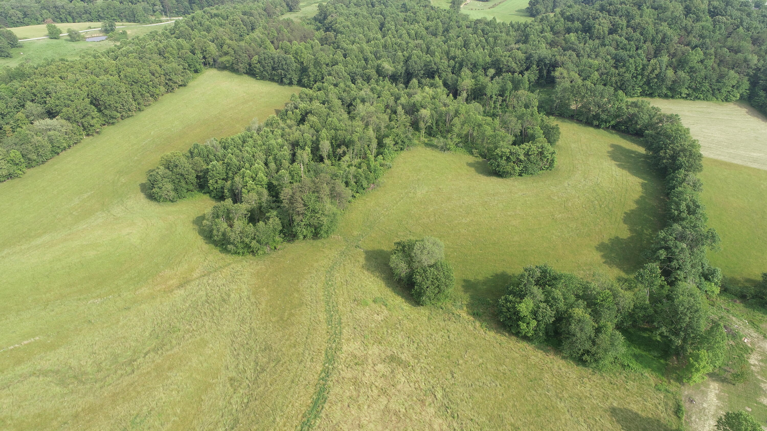 320 Tyree Road Annville, KY 40402 - Photo 7 of 50 DJI_0693
