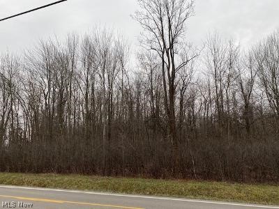 Plank Road Thompson, OH 44086 - Photo 1 of 2