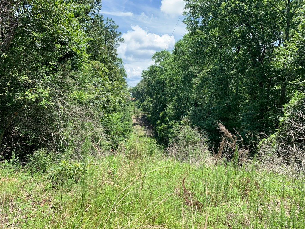 0 Roan Ready Road Monticello, MS 39654 - Photo 12 of 12 Photo 12