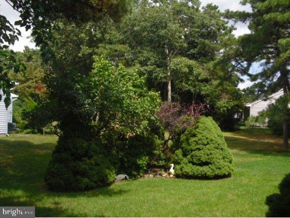 11 Amherst Road, Unit B Manchester Township, NJ 08759 - Photo 9 of 10