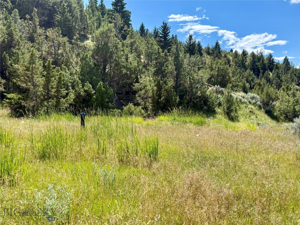 Lot 290 Broken Creek Road Three Forks, MT 59752 - Photo 3 of 22 Gallery Image 3