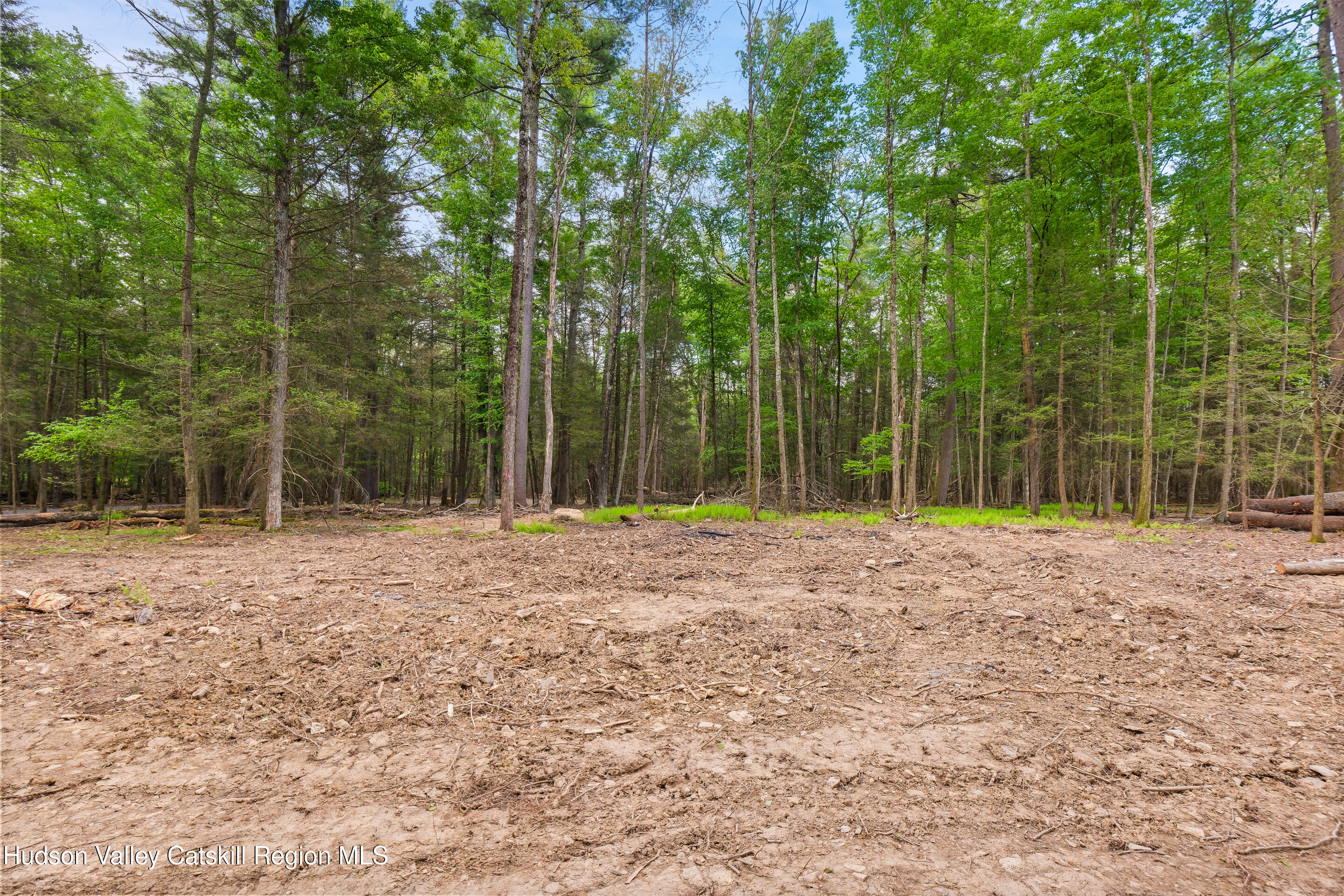 209 Beaverkill Road Kingston, NY 12401 - Photo 34 of 44 DSCF0214_1