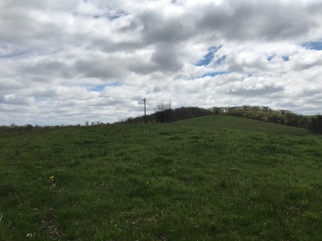 Menzie Bottoms Road Butler, KY 41006 - Photo 1 of 39 Gallery Image 1