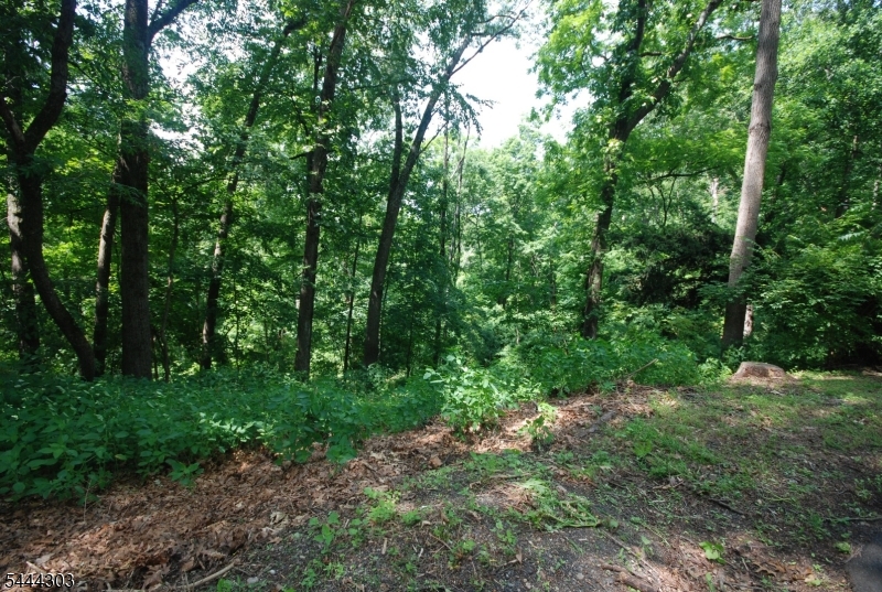 36 Mountain Lake Road Belvidere, NJ 07823 - Photo 20 of 21