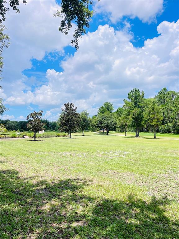 3485 Middlebrook Place Harmony, FL 34773 - Photo 43 of 44