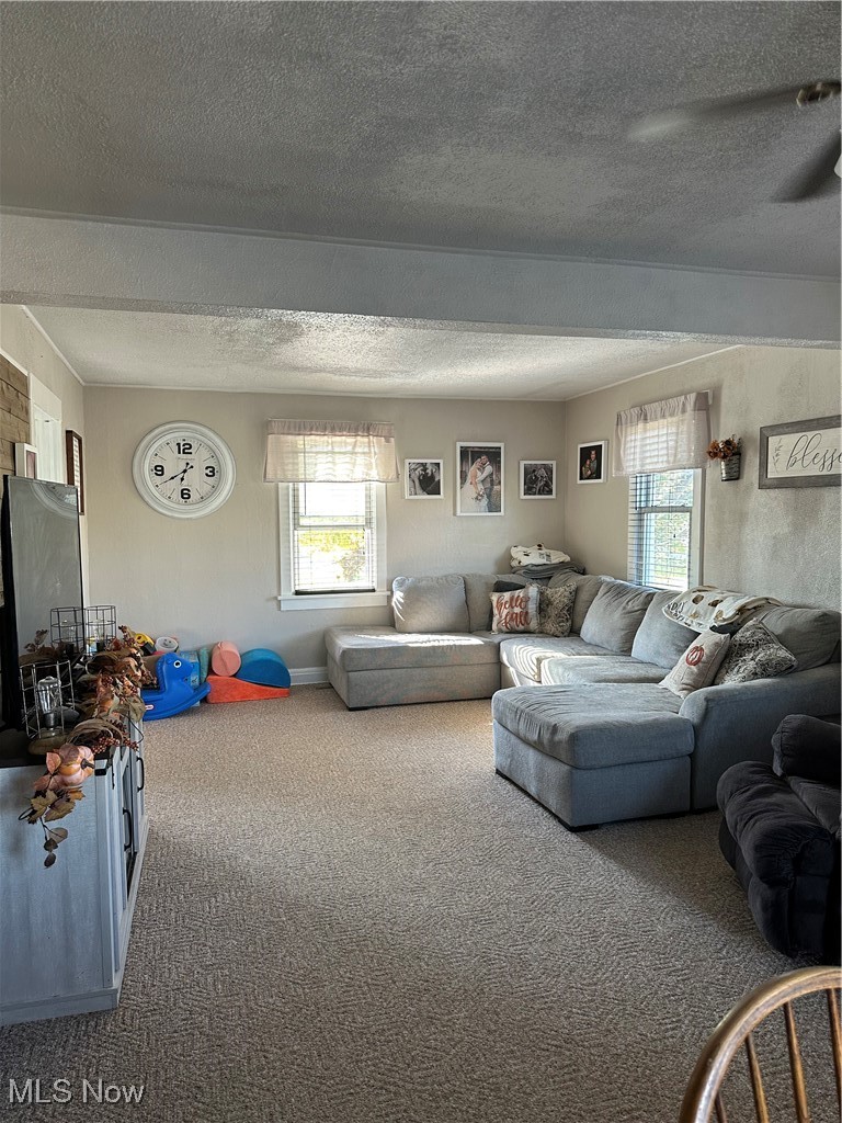 422 Moose Ridge Road Woodsfield, OH 43793 - Photo 21 of 43 Carpeted living area featuring a textured ceiling and ceiling fan