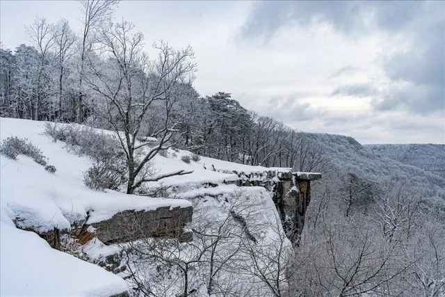 $1,000,000 | 110 Falls Lane, Spencer, TN 38585