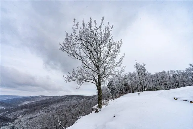 $1,000,000 | 110 Falls Lane, Spencer, TN 38585