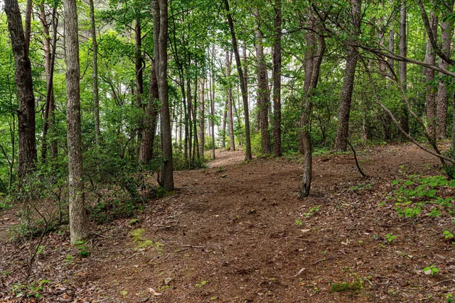 $1,000,000 | 110 Falls Lane, Spencer, TN 38585