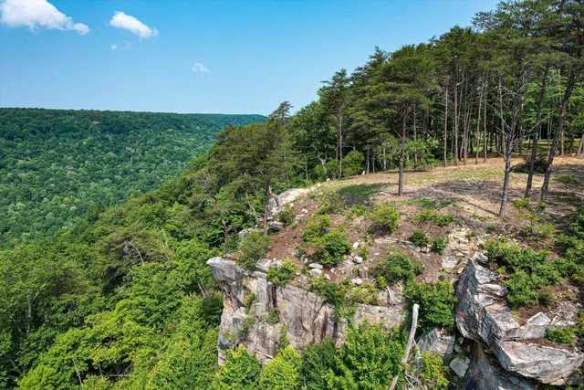 $1,000,000 | 110 Falls Lane, Spencer, TN 38585