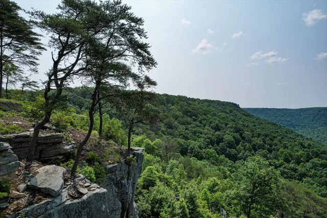 $1,000,000 | 110 Falls Lane, Spencer, TN 38585