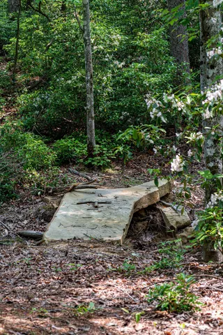 $1,000,000 | 110 Falls Lane, Spencer, TN 38585