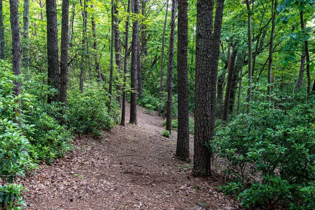 $1,000,000 | 110 Falls Lane, Spencer, TN 38585