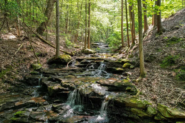 $1,000,000 | 110 Falls Lane, Spencer, TN 38585