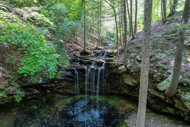 $1,000,000 | 110 Falls Lane, Spencer, TN 38585