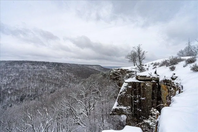 $1,000,000 | 110 Falls Lane, Spencer, TN 38585