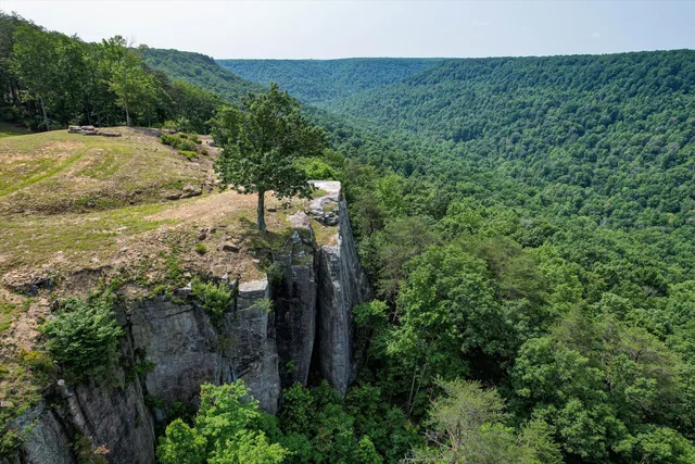 $1,000,000 | 110 Falls Lane, Spencer, TN 38585