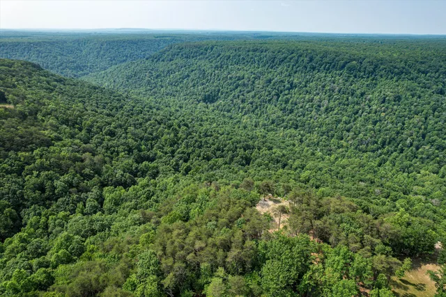 $1,000,000 | 110 Falls Lane, Spencer, TN 38585