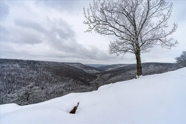 $1,000,000 | 110 Falls Lane, Spencer, TN 38585