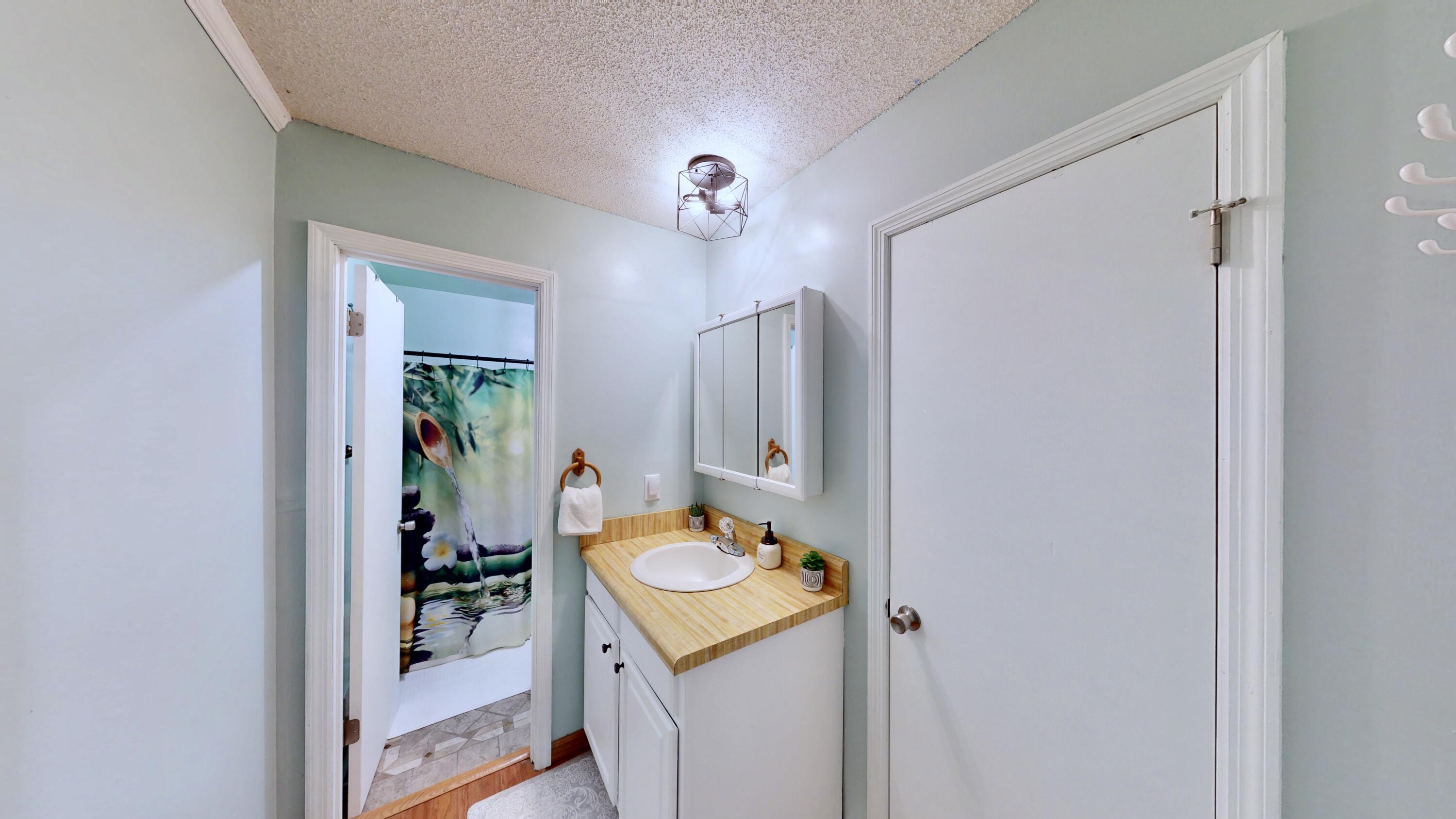 602 Patterson Road Sale Creek, TN 37373 - Photo 28 of 35 28-Bathroom 3