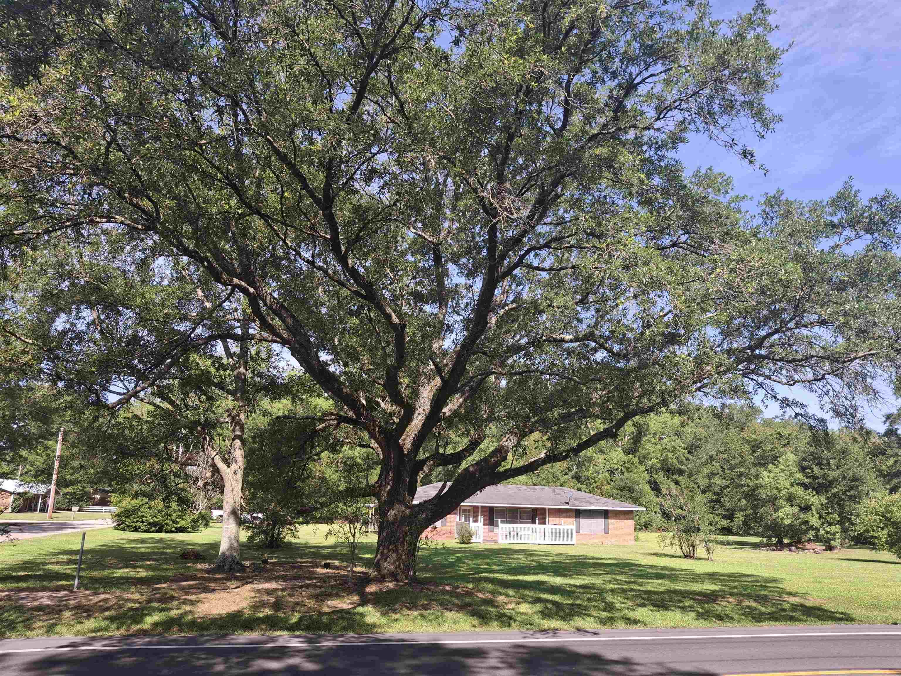 1608 South Juniper Street Foley, AL 36535 - Photo 1 of 30