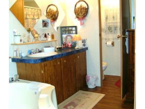 248 Scott Street Butler, TN 37640 - Photo 6 of 11 Master Bath