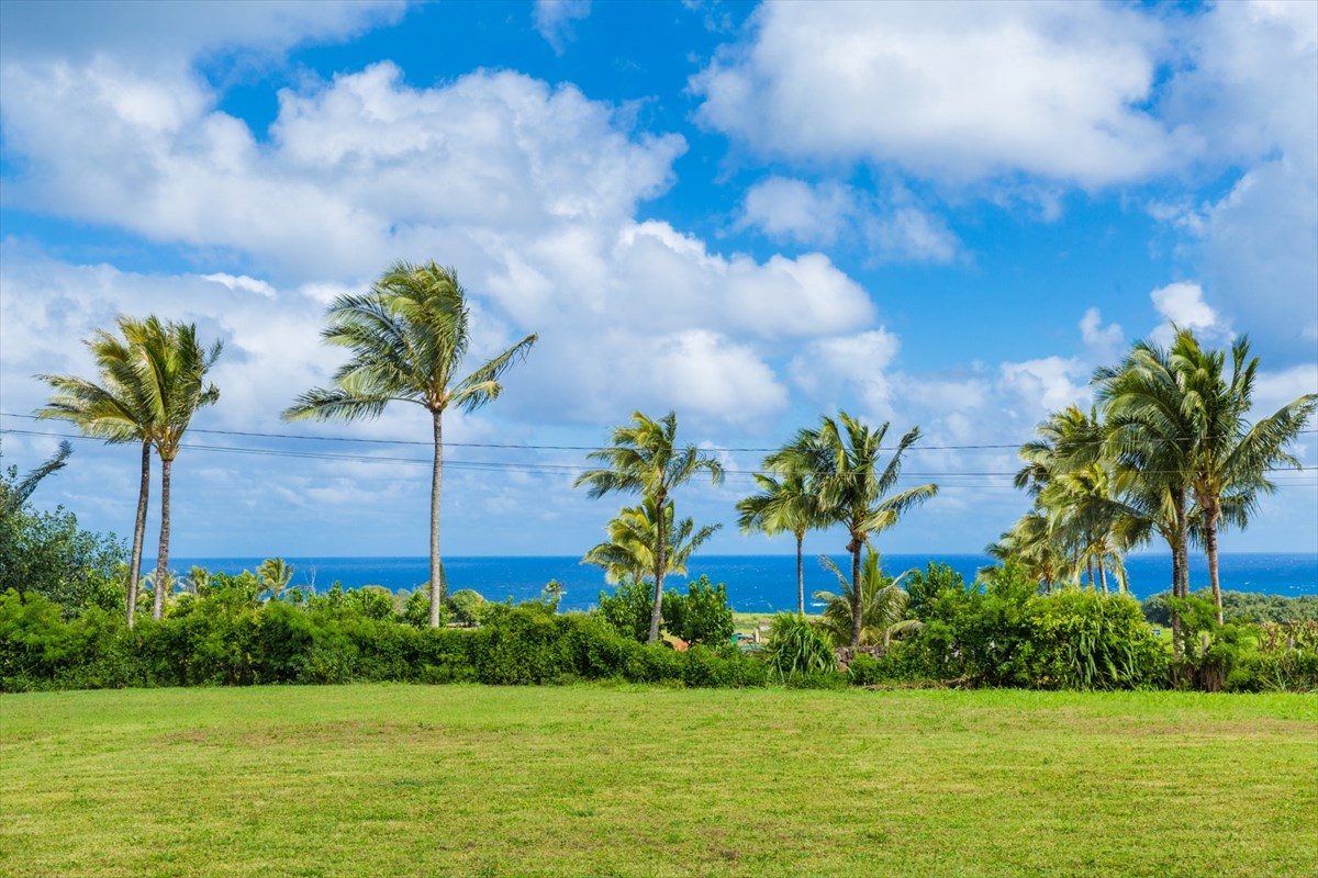 17 Koolau Road, Unit C Kilauea, HI 96754 - Photo 4 of 11 Gallery Image 4