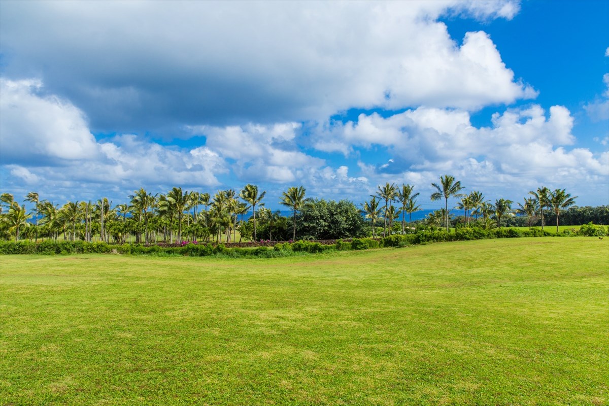 17 Koolau Road, Unit C Kilauea, HI 96754 - Photo 6 of 11 Gallery Image 6