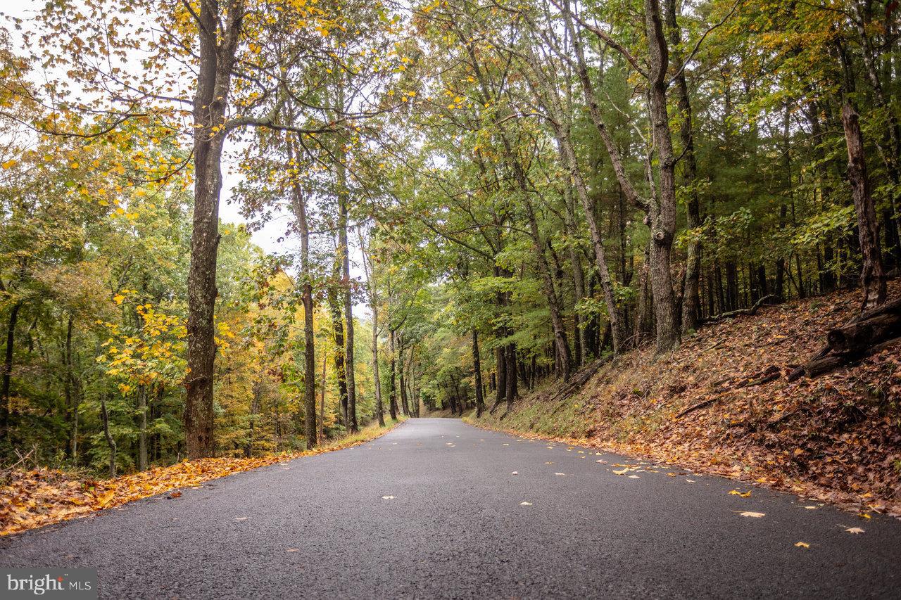 0 Dry Run Road Brandywine, WV 26802 - Photo 9 of 33