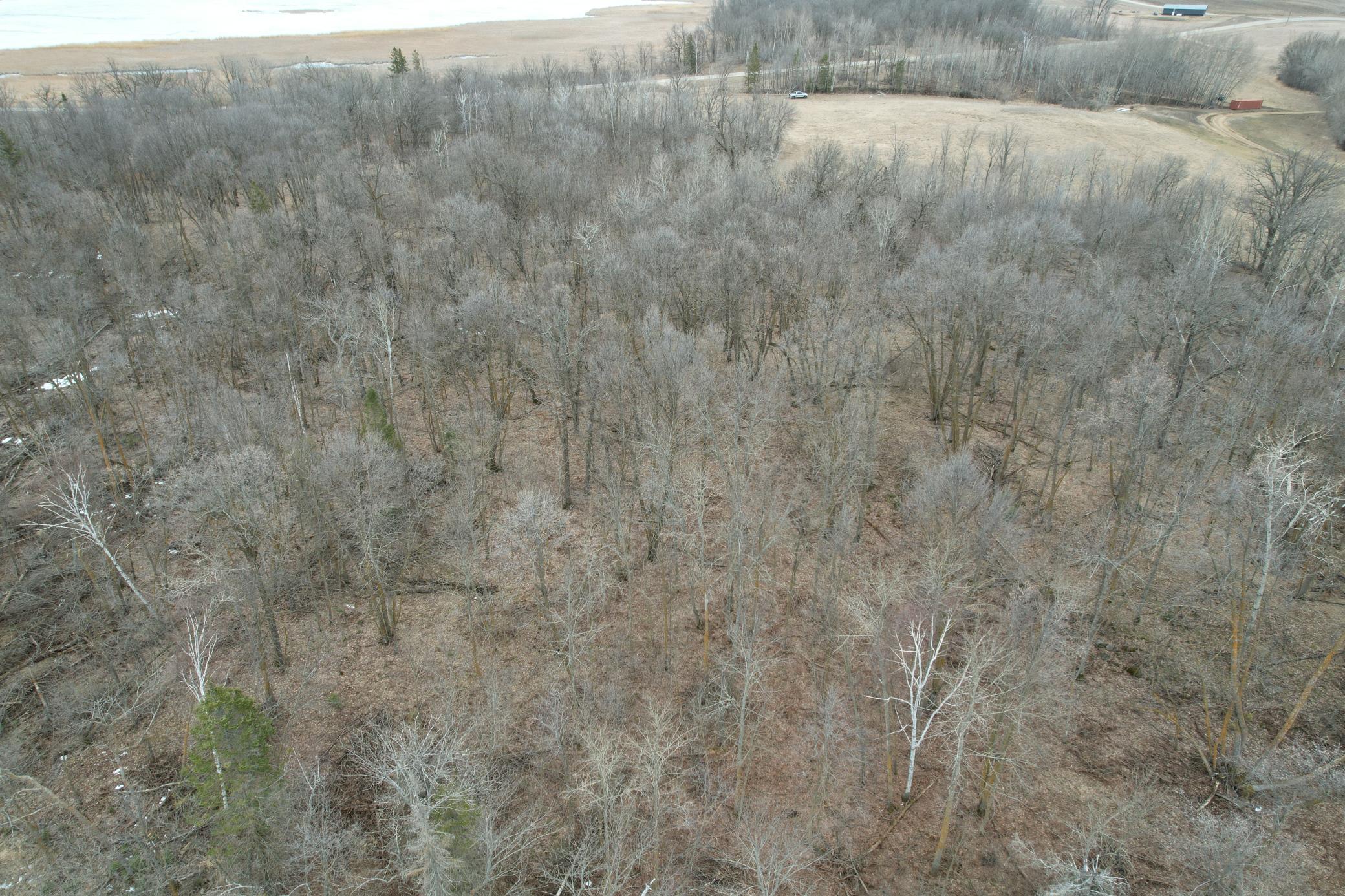 Tbd 460th Street Gonvick, MN 56644 - Photo 11 of 57