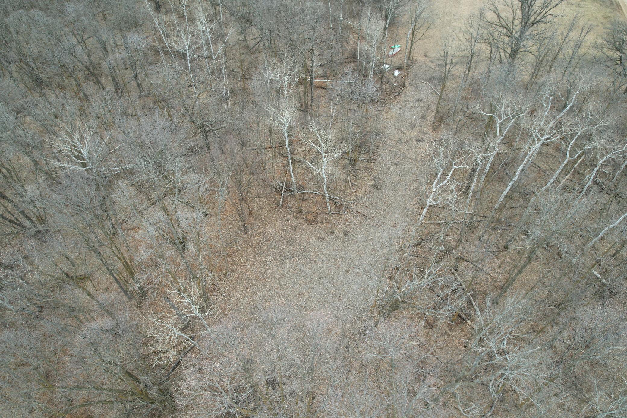 Tbd 460th Street Gonvick, MN 56644 - Photo 12 of 57