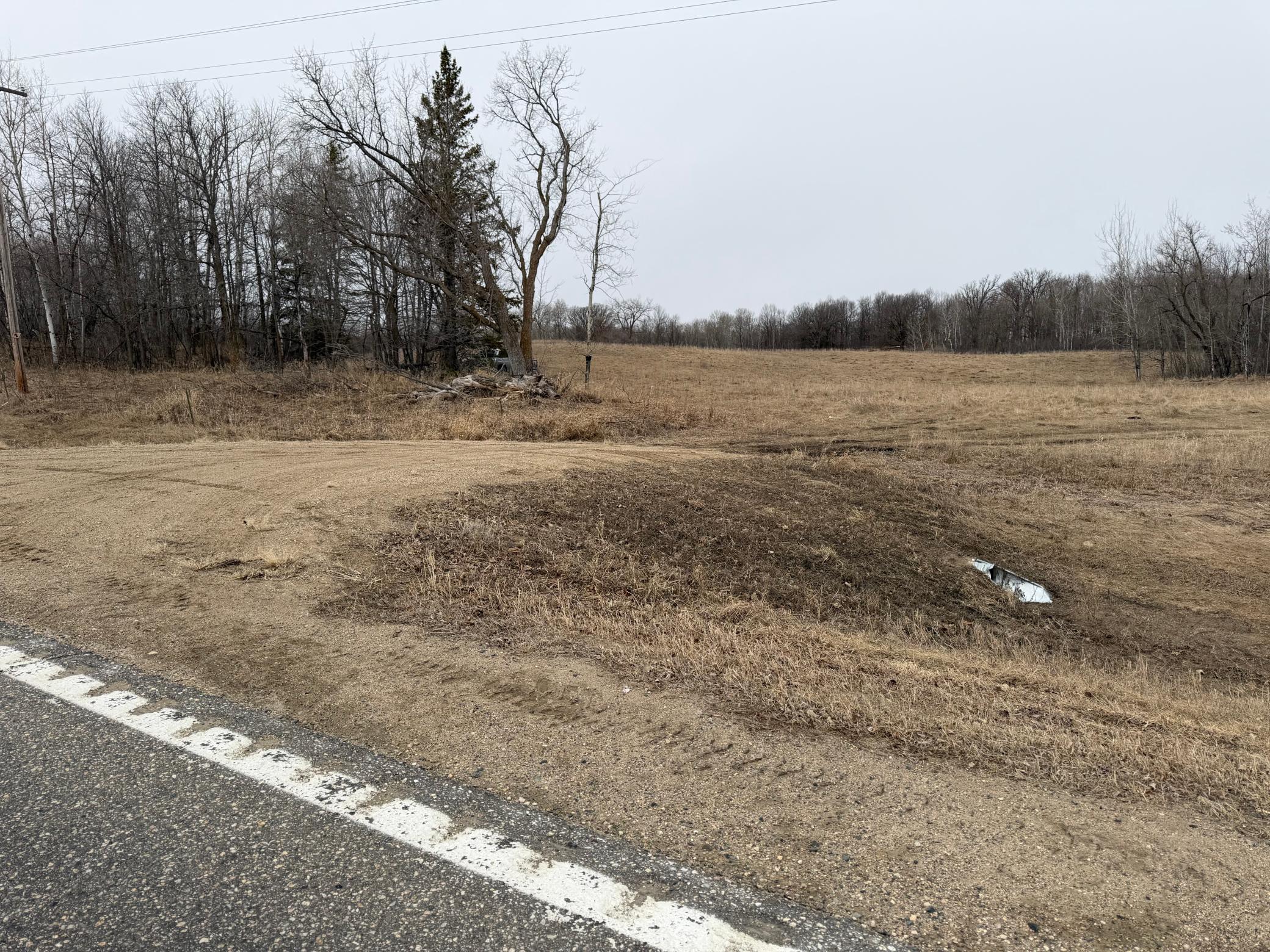 Tbd 460th Street Gonvick, MN 56644 - Photo 19 of 57