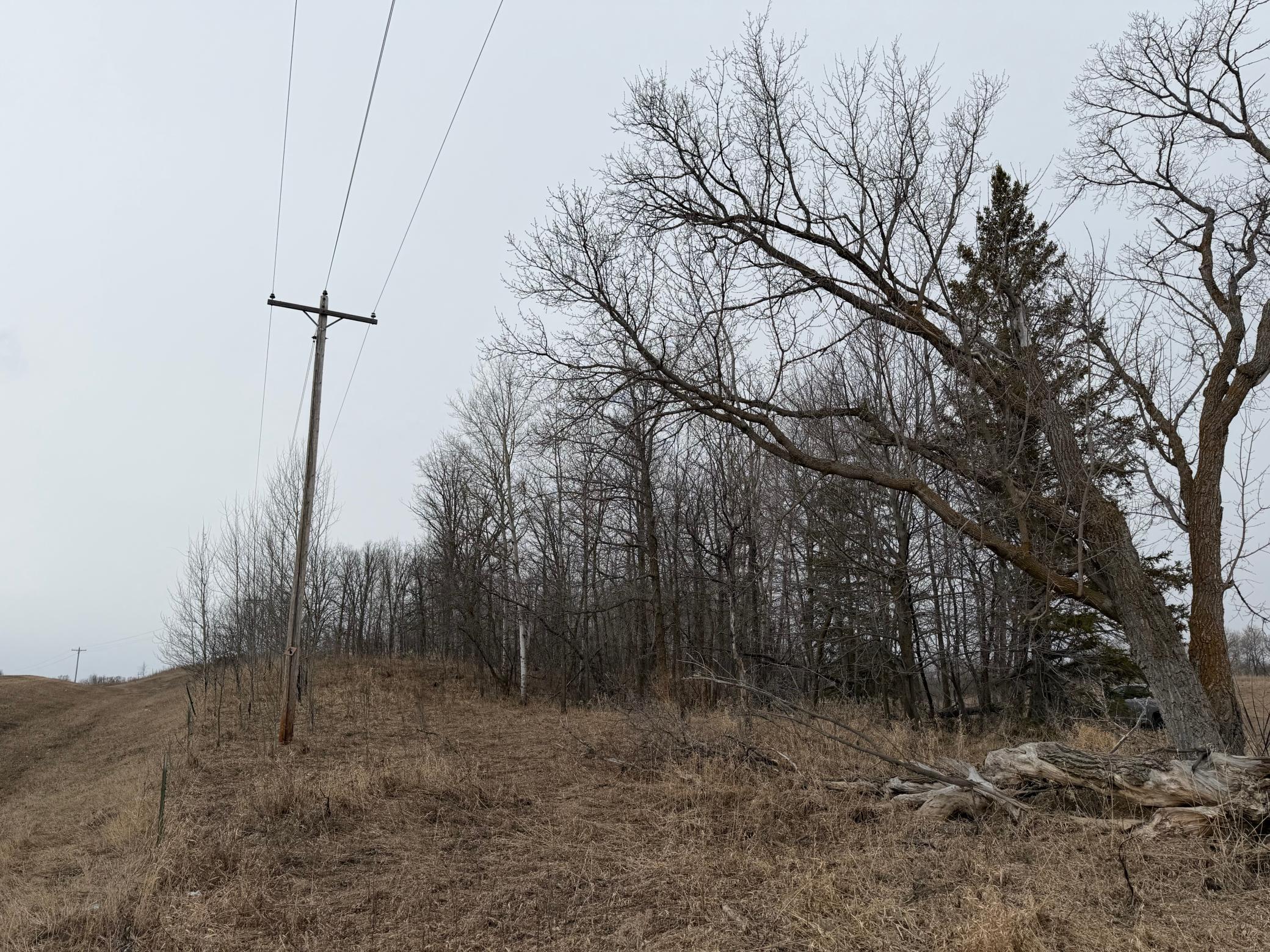 Tbd 460th Street Gonvick, MN 56644 - Photo 20 of 57