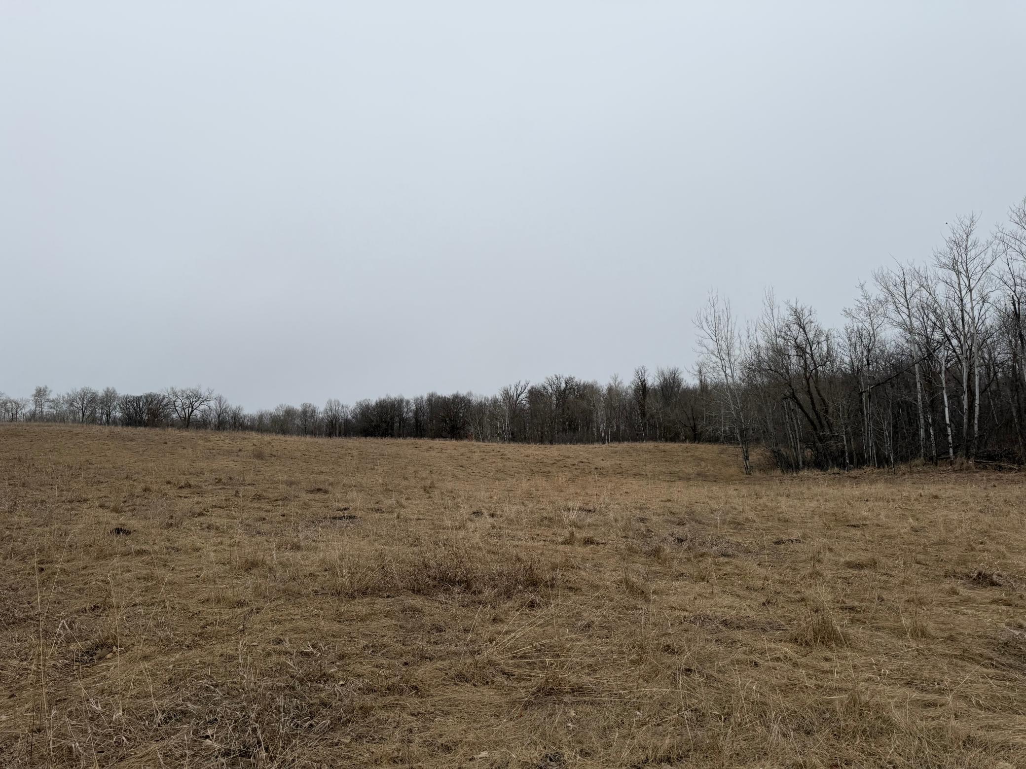 Tbd 460th Street Gonvick, MN 56644 - Photo 21 of 57