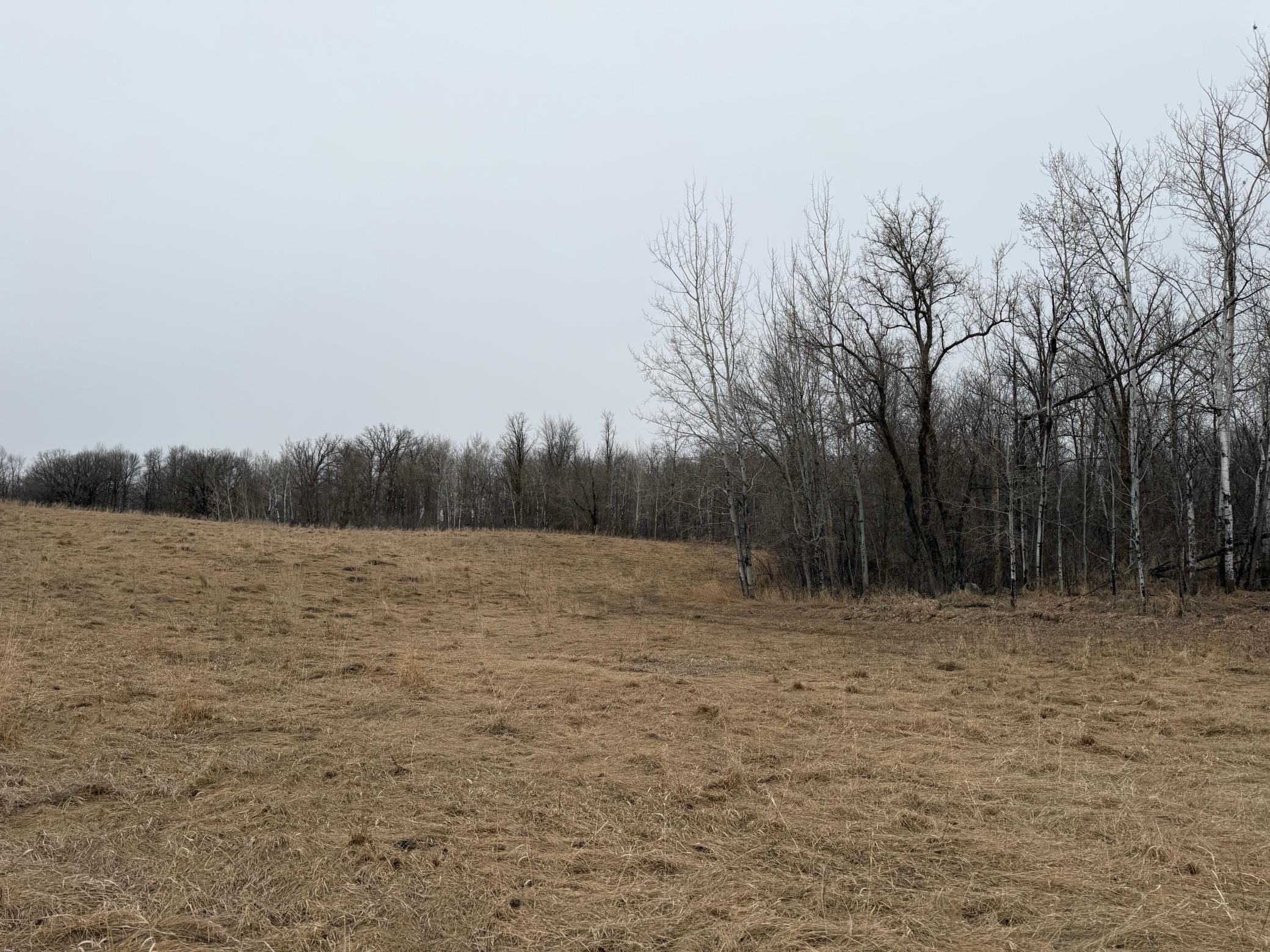 Tbd 460th Street Gonvick, MN 56644 - Photo 22 of 57