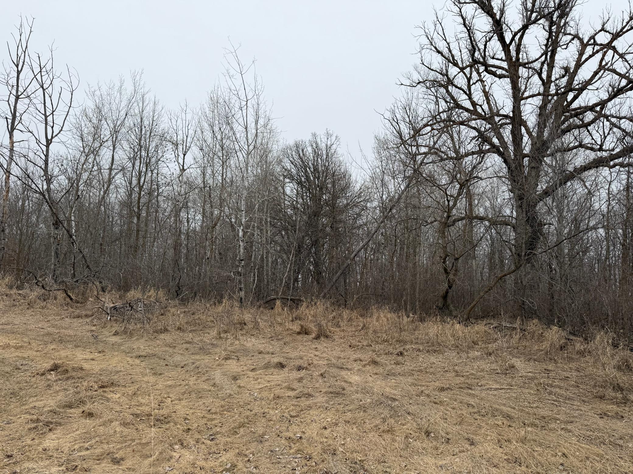 Tbd 460th Street Gonvick, MN 56644 - Photo 24 of 57