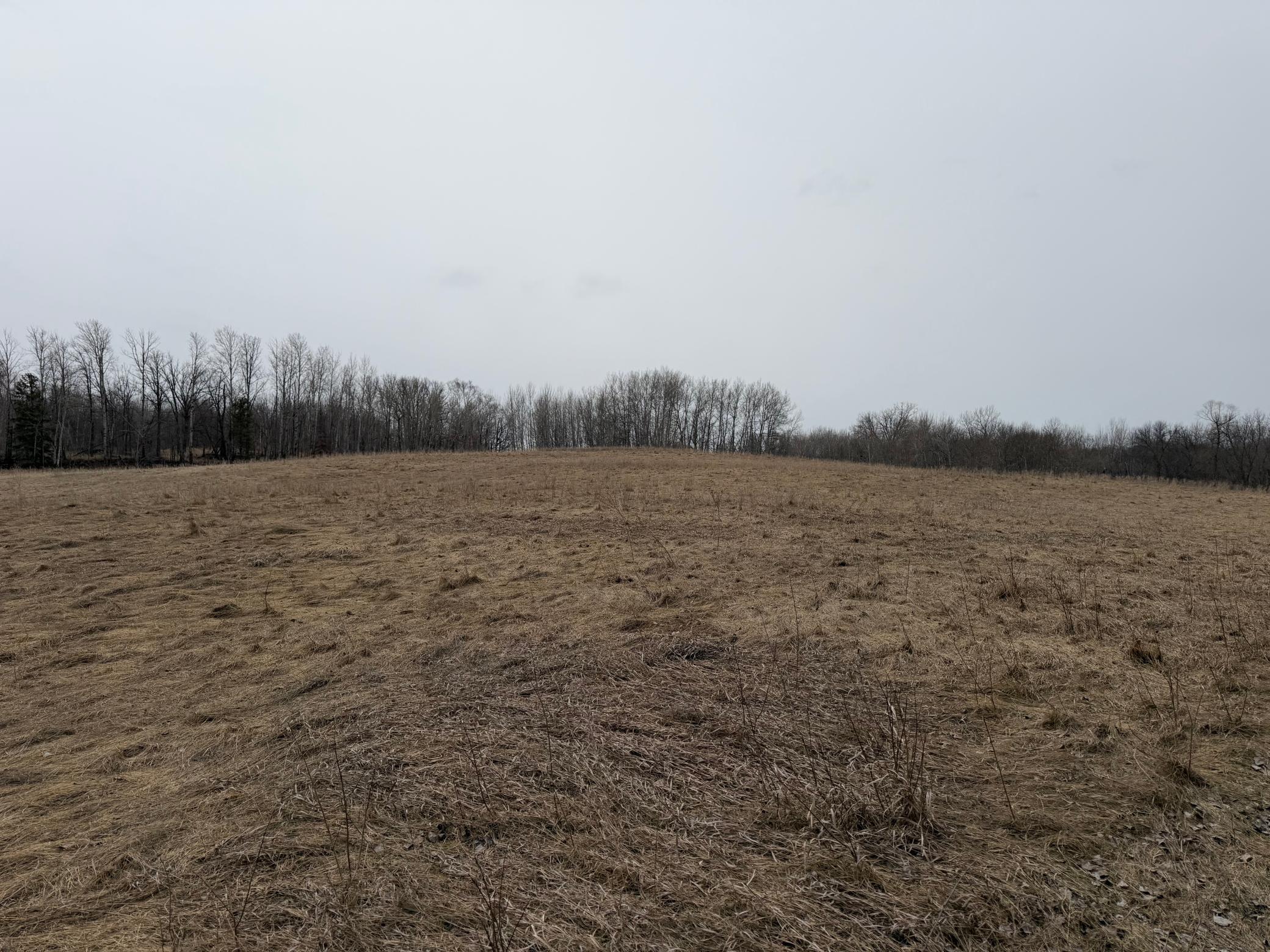 Tbd 460th Street Gonvick, MN 56644 - Photo 25 of 57