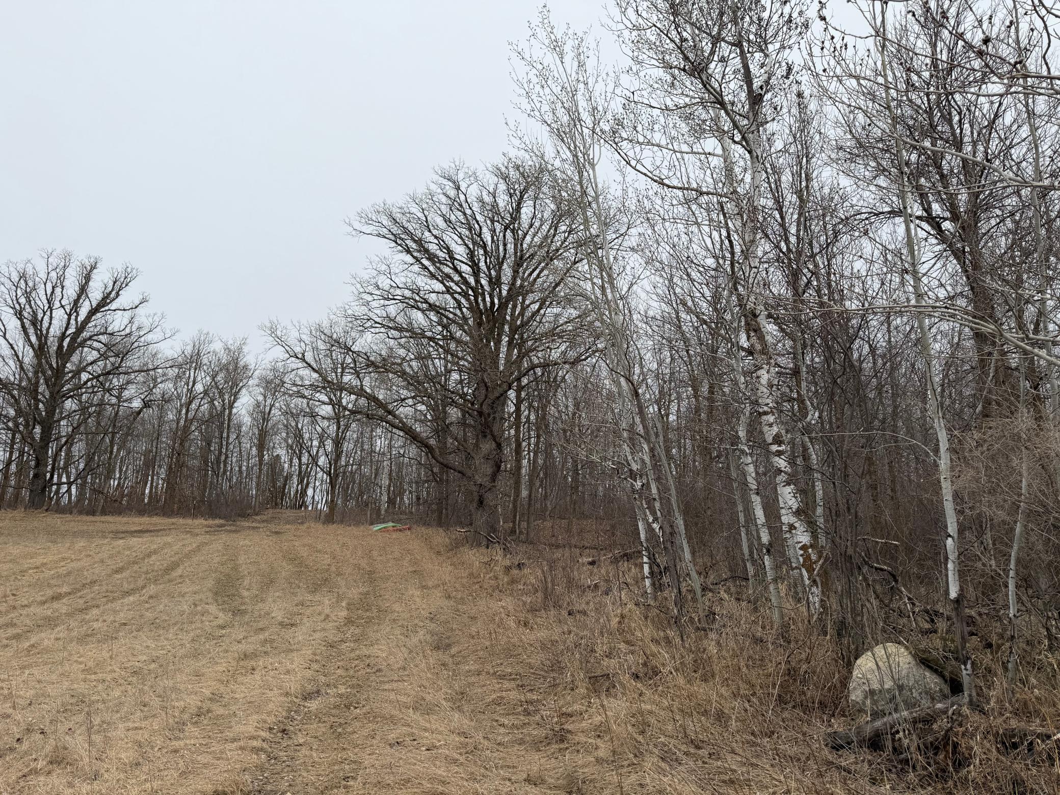 Tbd 460th Street Gonvick, MN 56644 - Photo 27 of 57