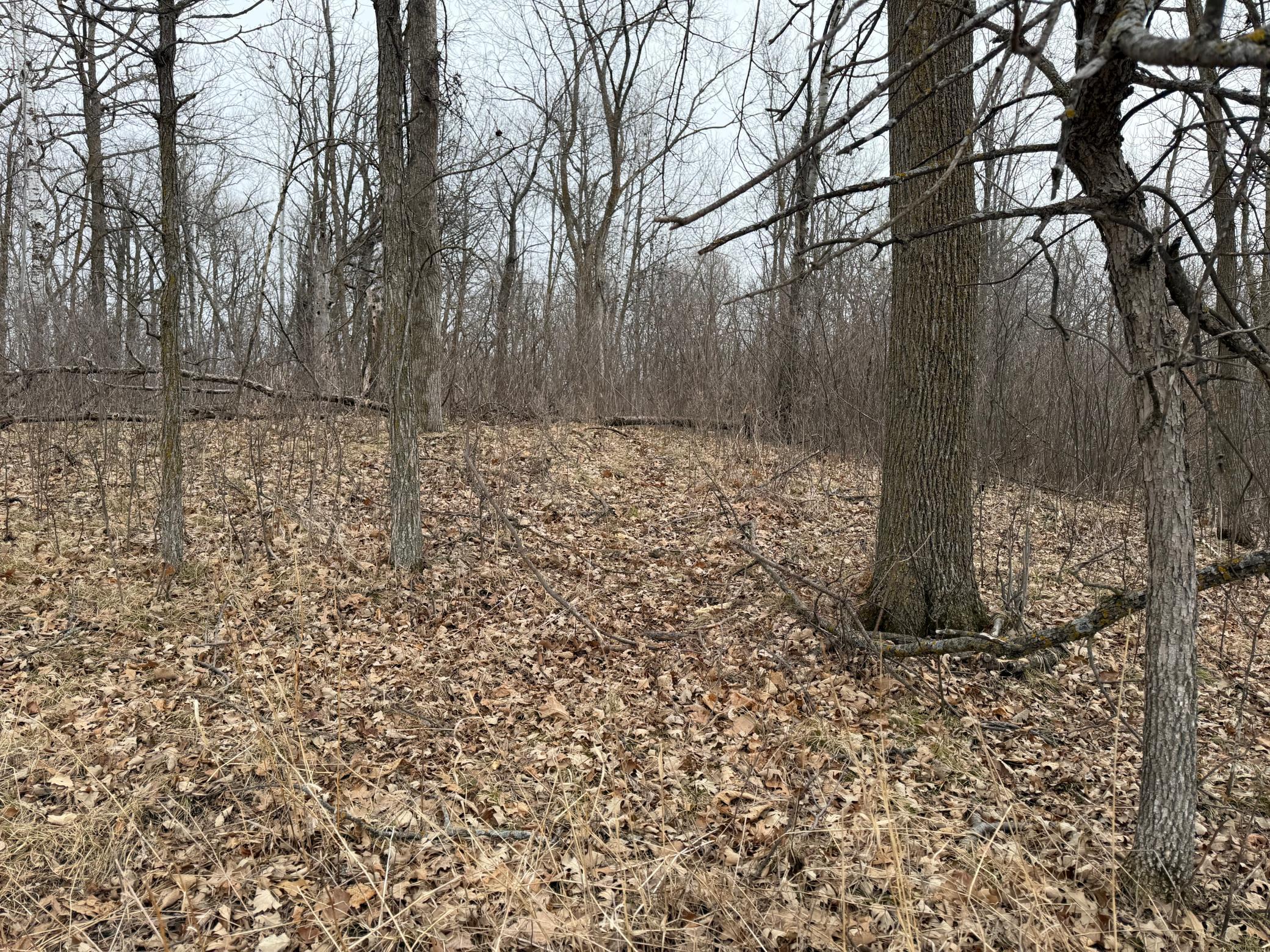 Tbd 460th Street Gonvick, MN 56644 - Photo 29 of 57