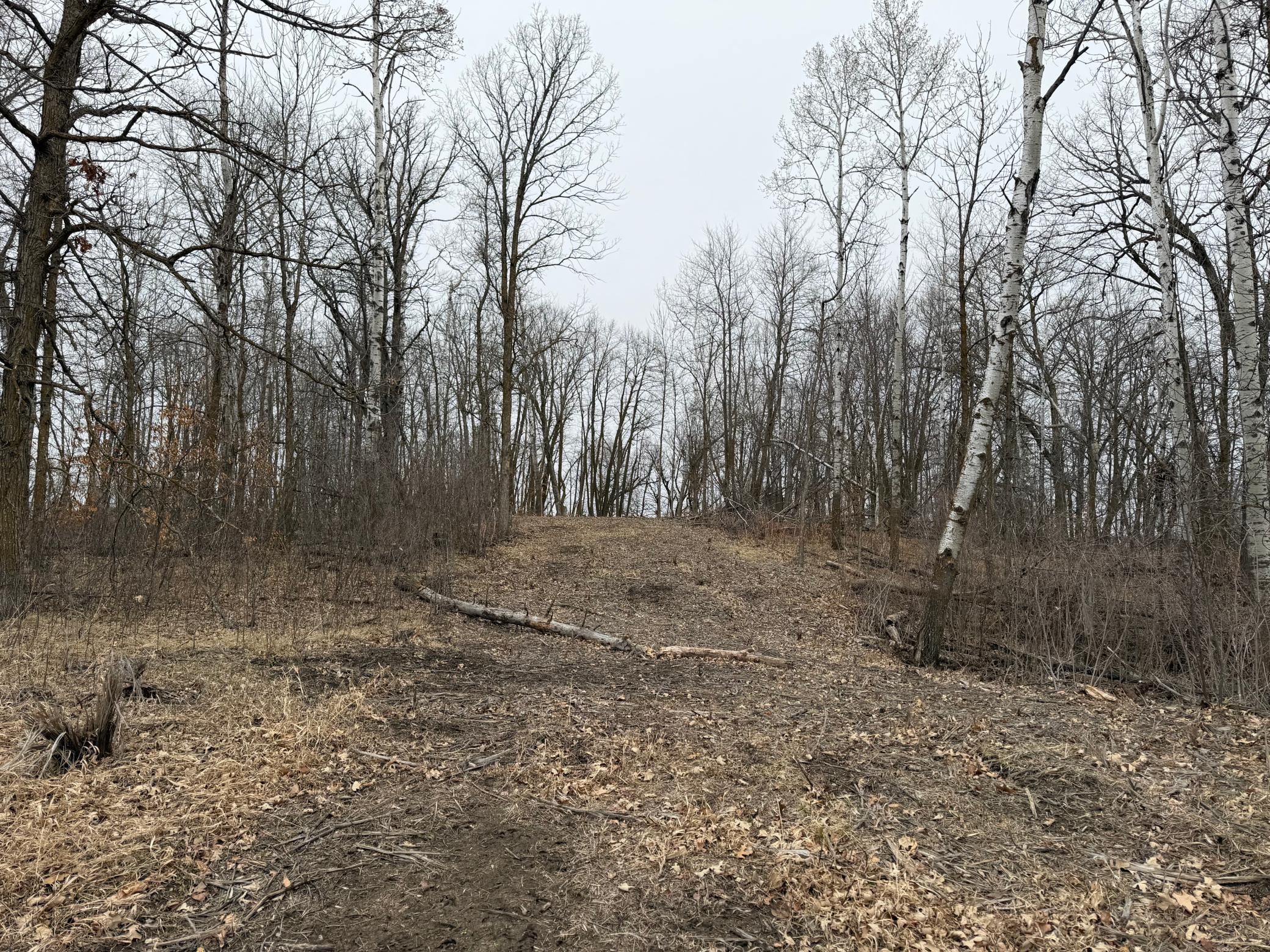 Tbd 460th Street Gonvick, MN 56644 - Photo 30 of 57