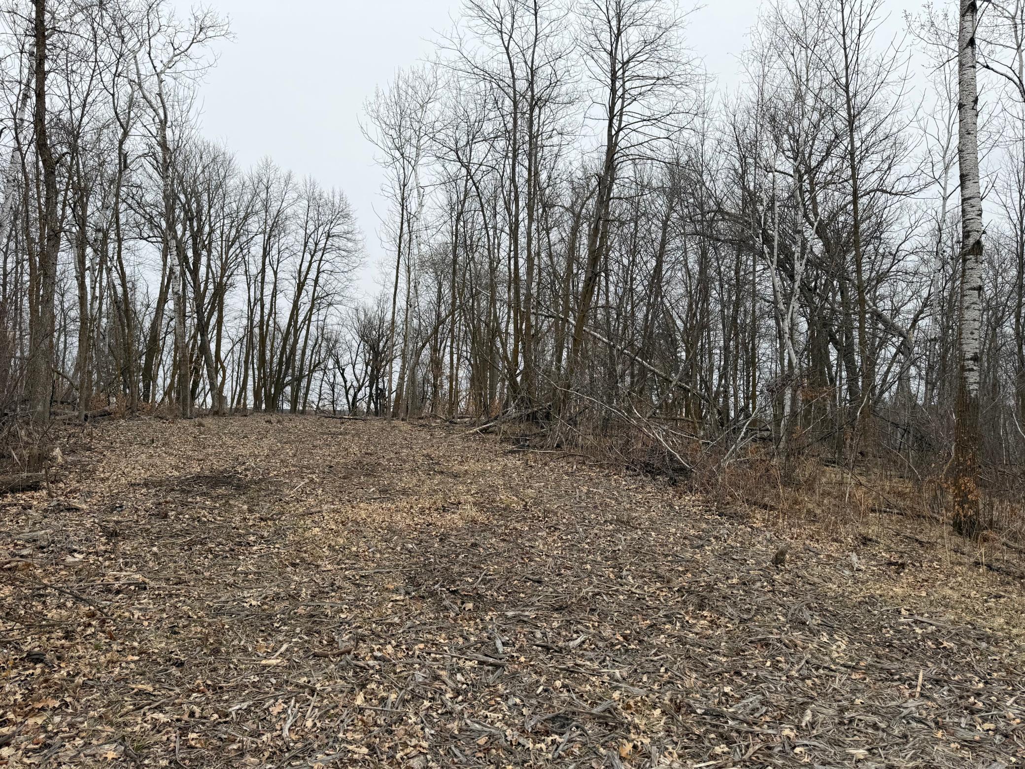 Tbd 460th Street Gonvick, MN 56644 - Photo 31 of 57