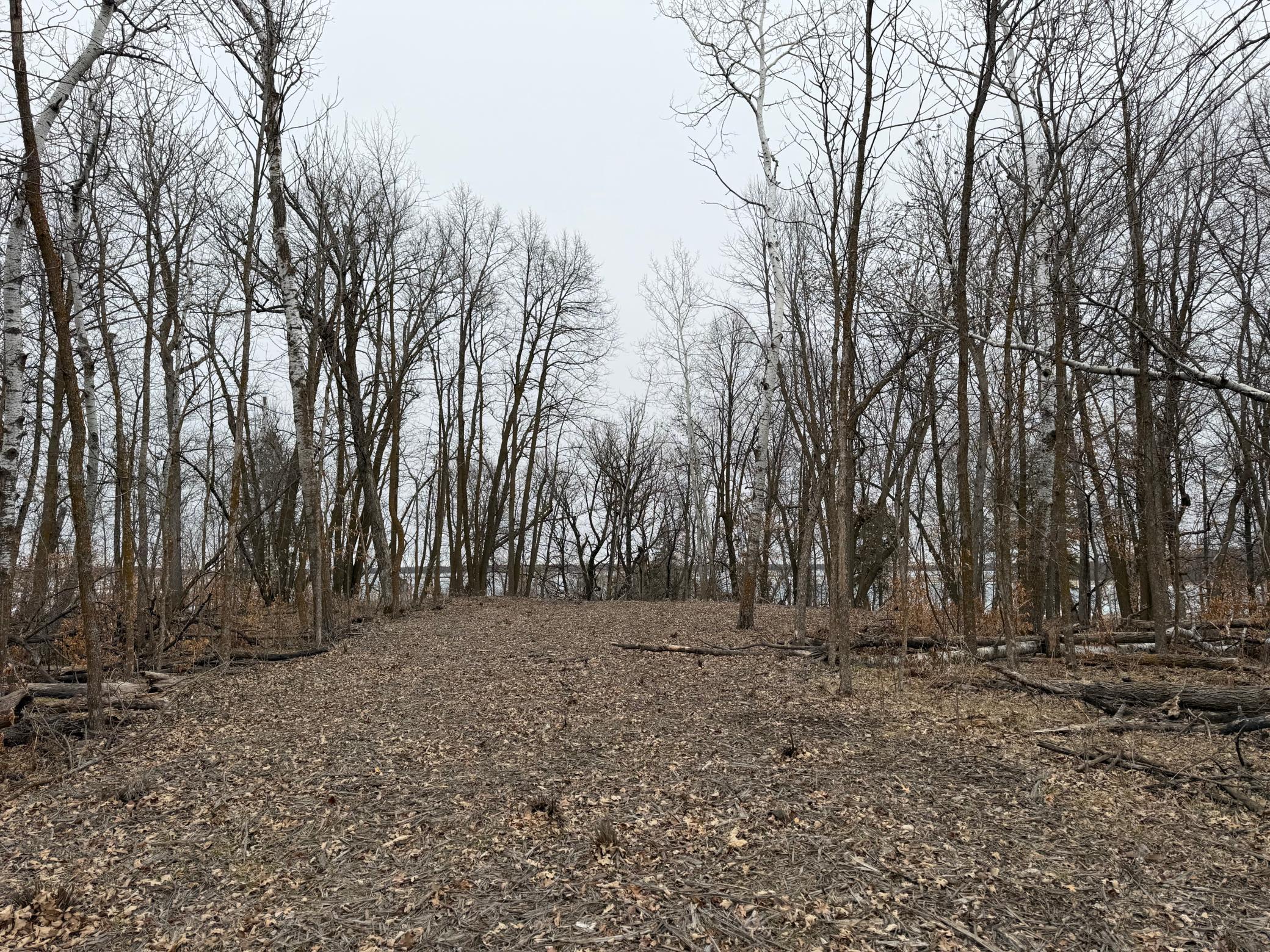 Tbd 460th Street Gonvick, MN 56644 - Photo 32 of 57