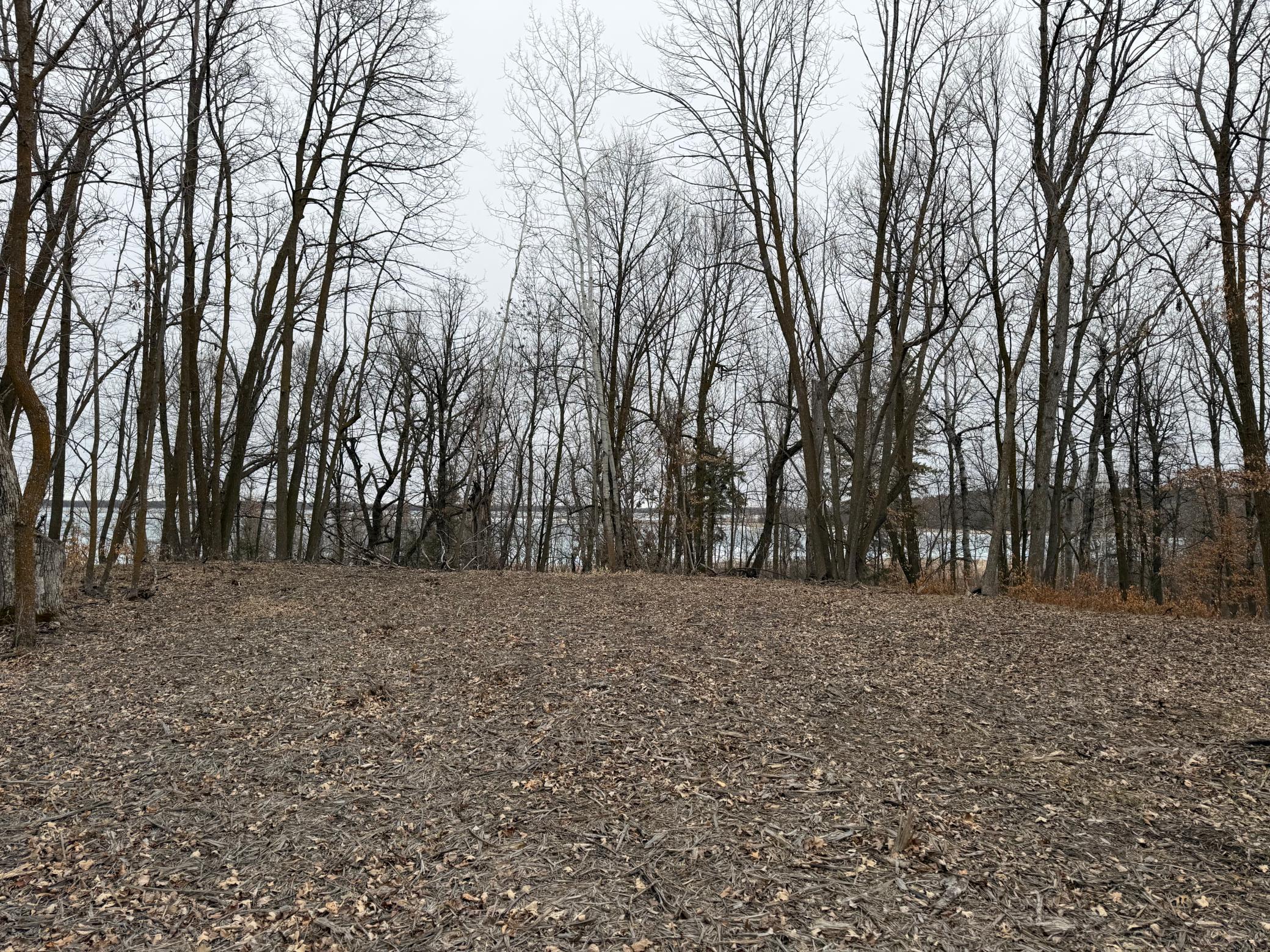 Tbd 460th Street Gonvick, MN 56644 - Photo 33 of 57