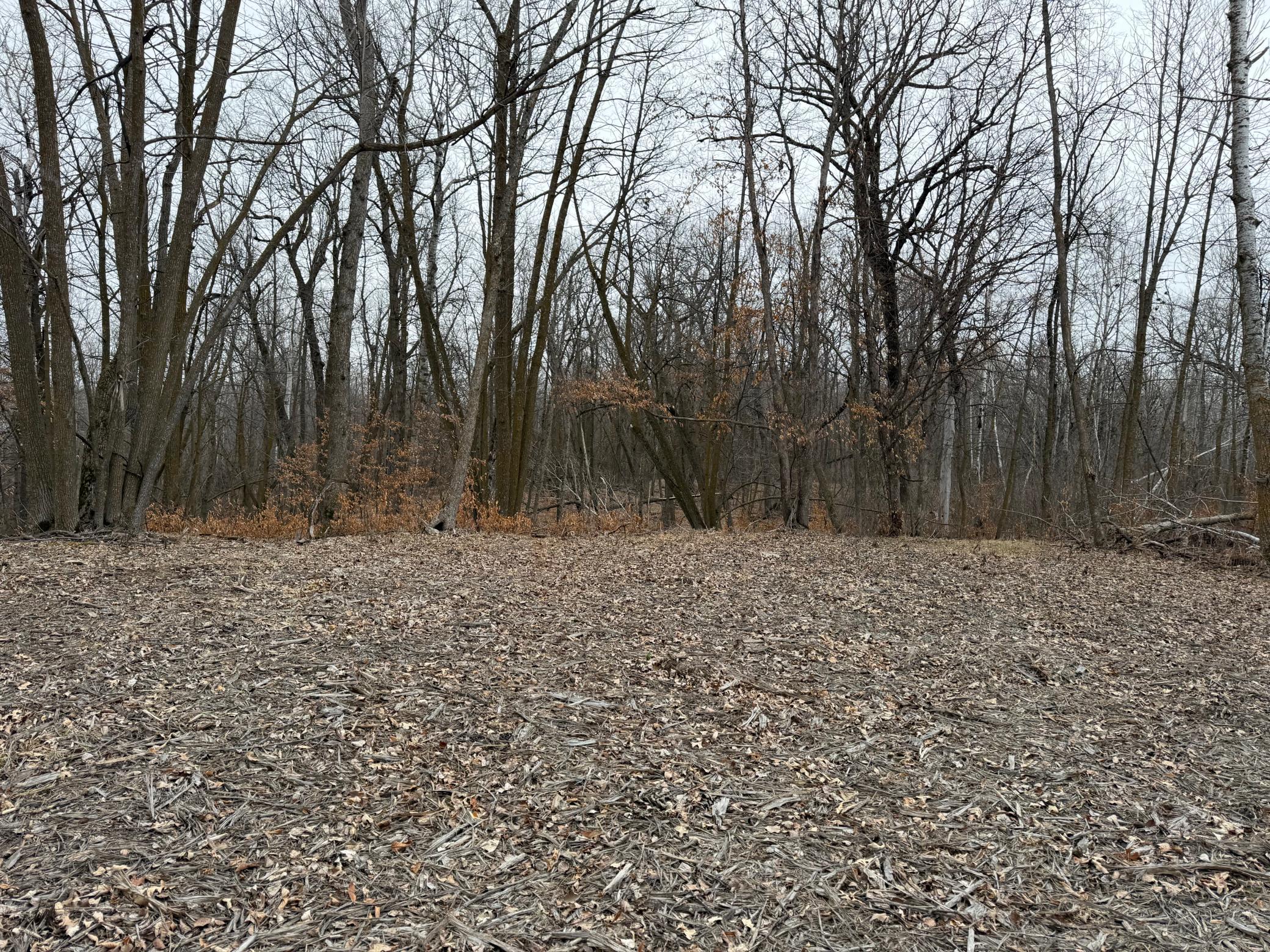 Tbd 460th Street Gonvick, MN 56644 - Photo 34 of 57