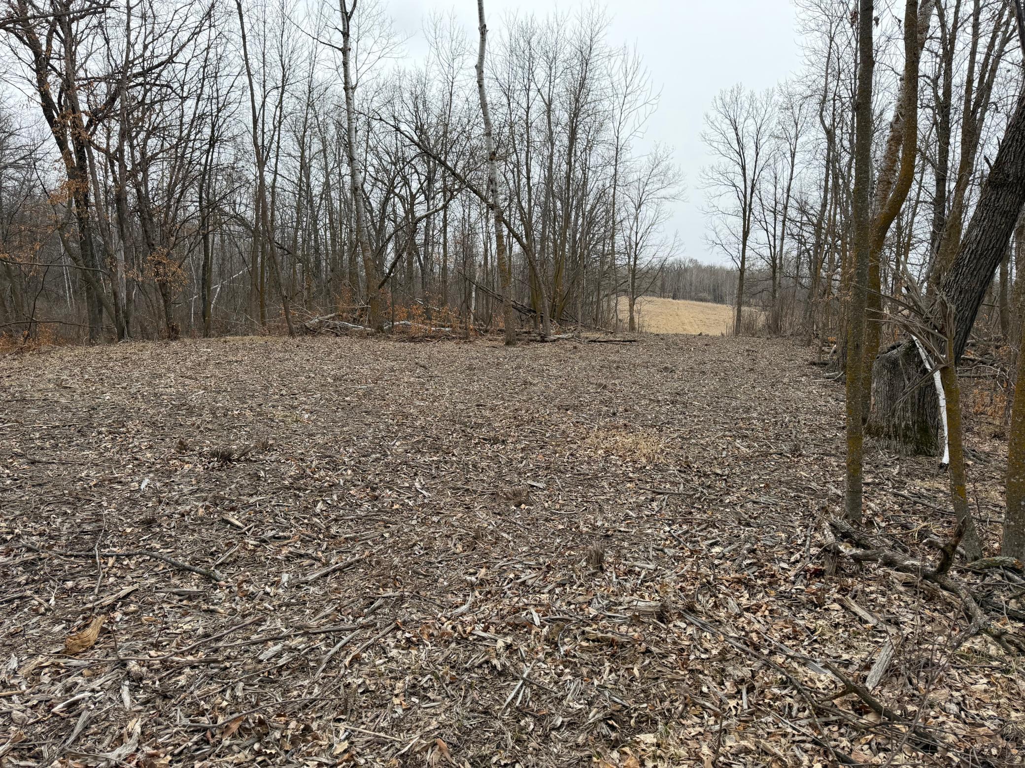 Tbd 460th Street Gonvick, MN 56644 - Photo 35 of 57