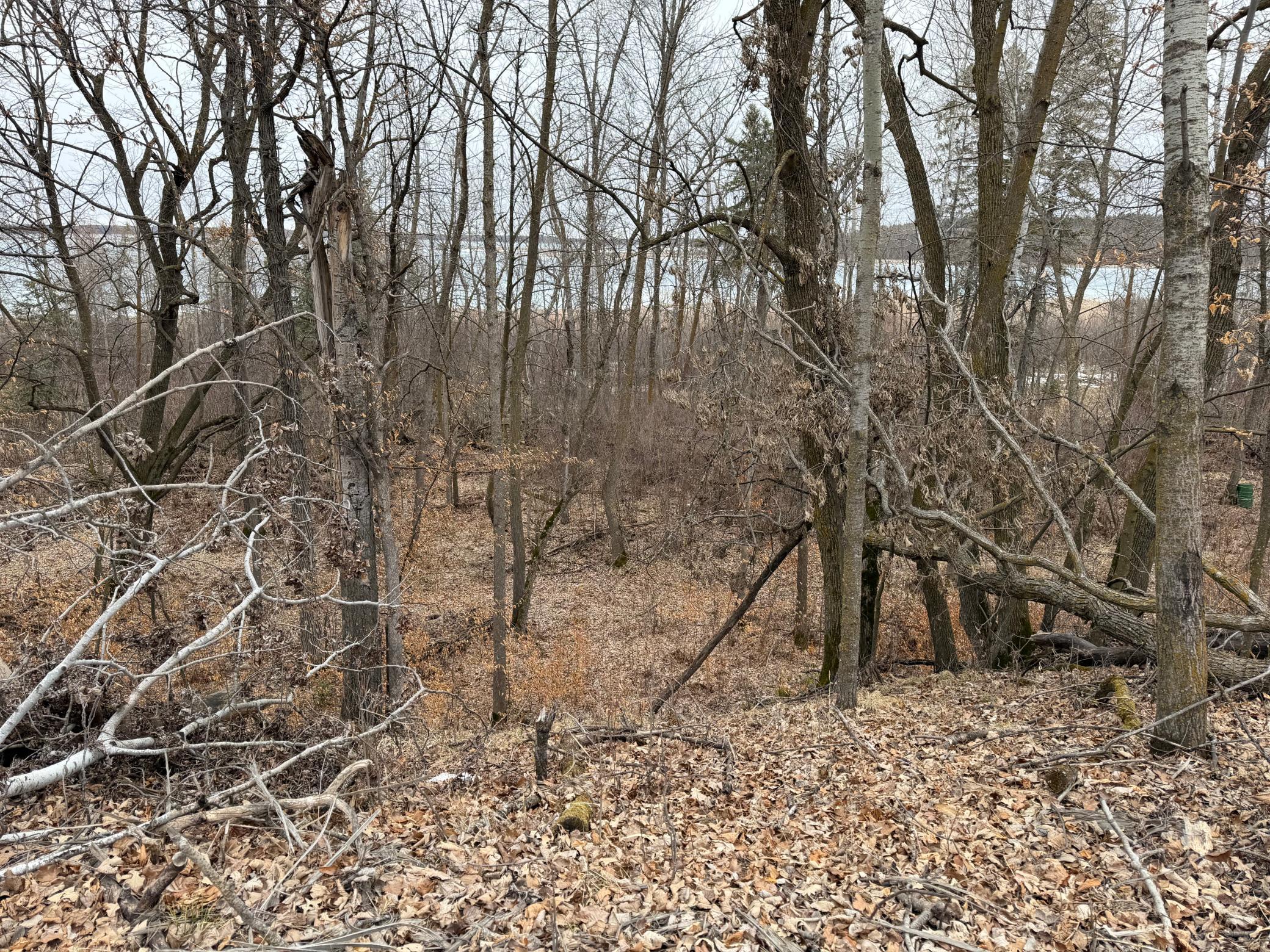 Tbd 460th Street Gonvick, MN 56644 - Photo 36 of 57