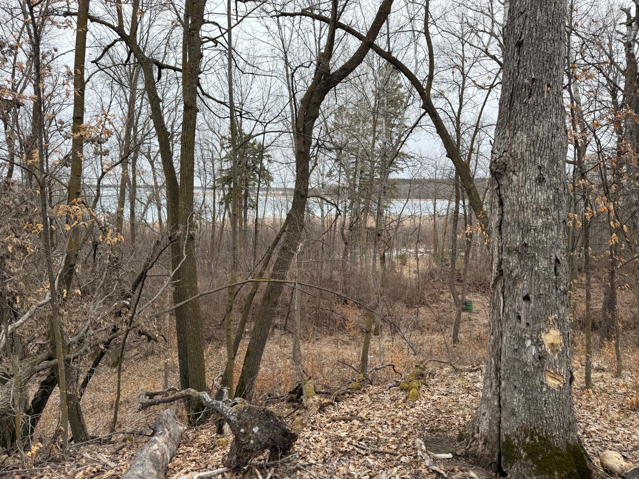 Tbd 460th Street Gonvick, MN 56644 - Photo 37 of 57