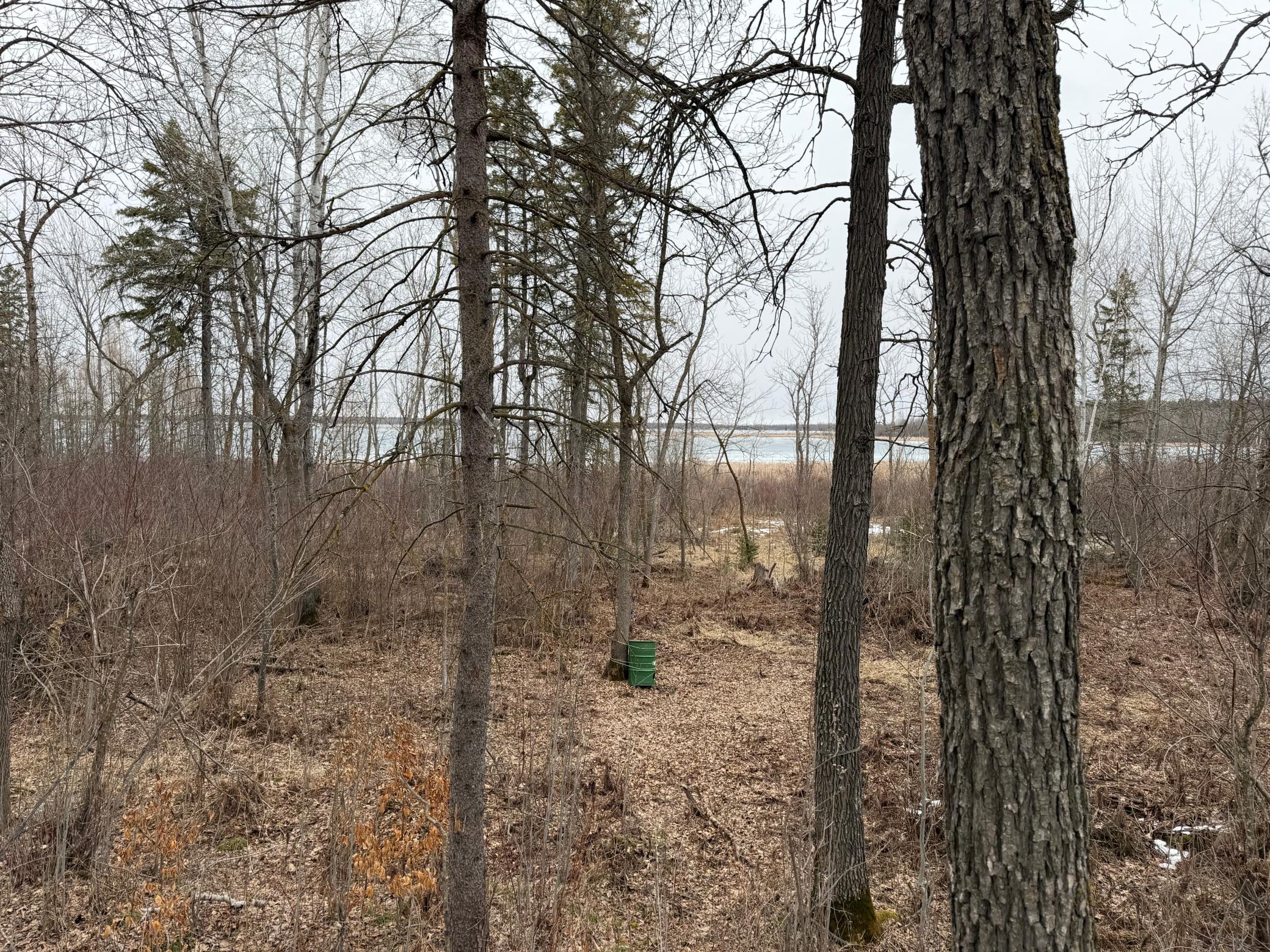 Tbd 460th Street Gonvick, MN 56644 - Photo 40 of 57